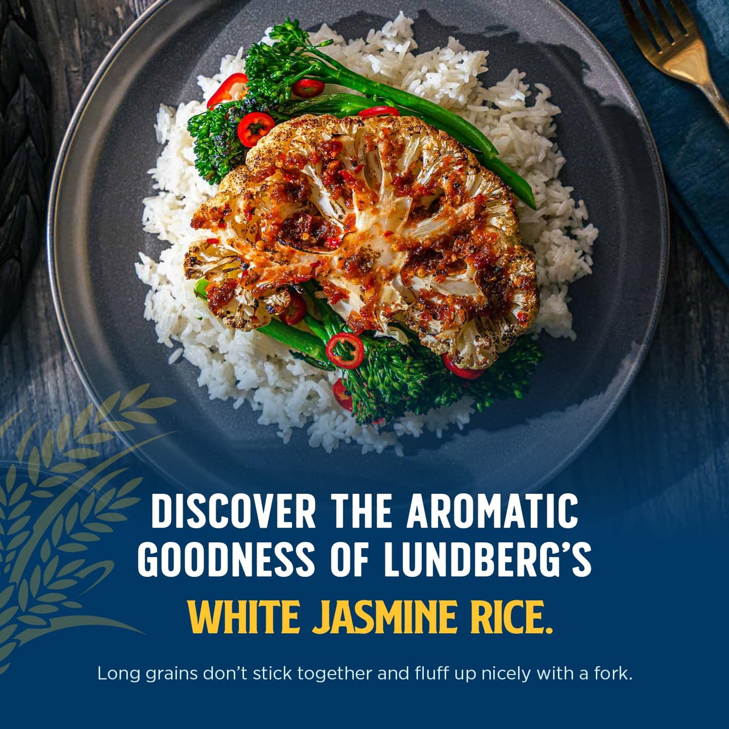Lundberg Jasmine Rice, Non-Sticky Long Grain White Rice, 32 Oz (Pack of 6)
