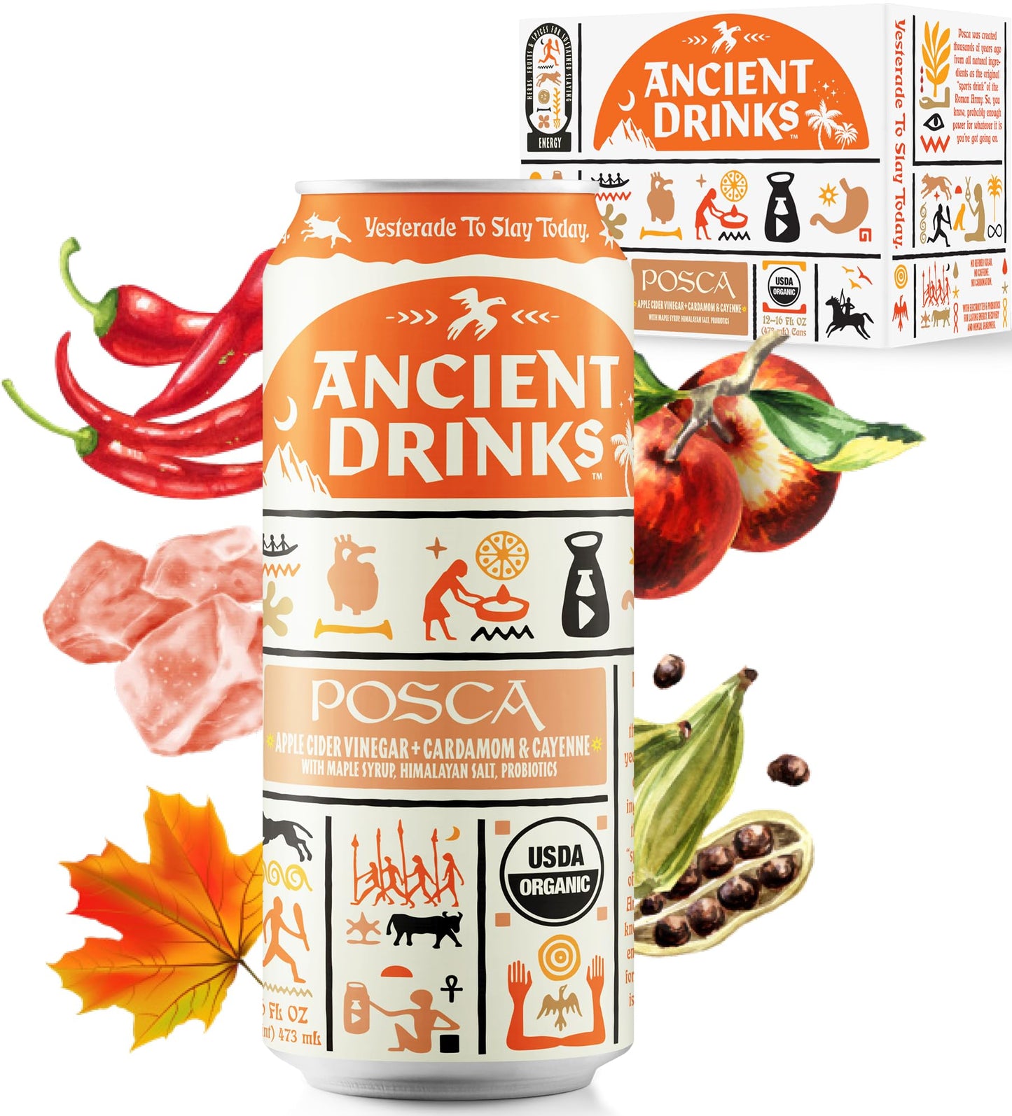 ANCIENT DRINKS Apple Cider Vinegar Beverage with Electrolytes & Probiotics, Organic, 16 fl oz, Posca (Cayenne & Cardamom) - 