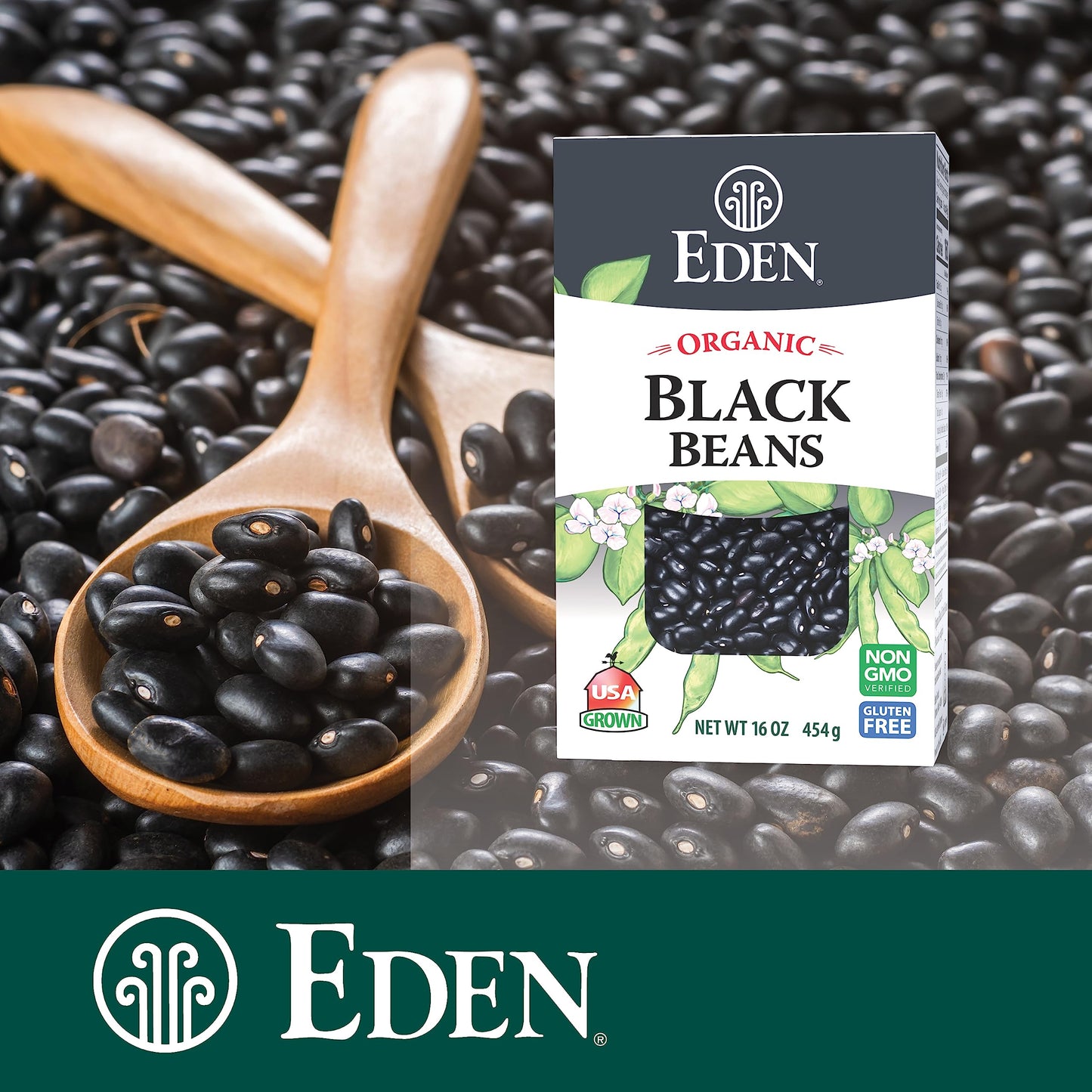 Eden Organic Dry Black Beans, 16 Oz Box (1 Lb), Non-Gmo, U.S Grown, Turtle Beans, Frijol Negro, Caviar Criollo