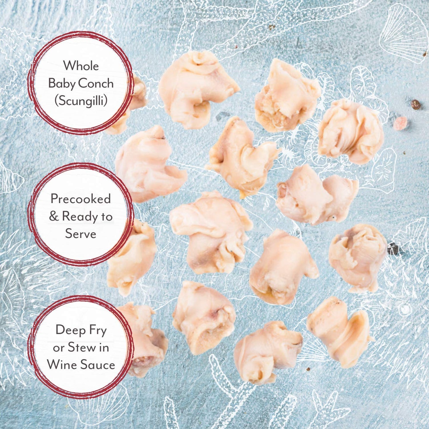 Roland Foods Whole Baby Conch in Water, 15 Ounce Can, Specialty Imported Food