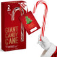 Giant Candy Cane Sticks 2 Pack Gift box - 10 Inch Individually Wrapped Christmas Candy Peppermint Flavor For Stocking Fillers, H