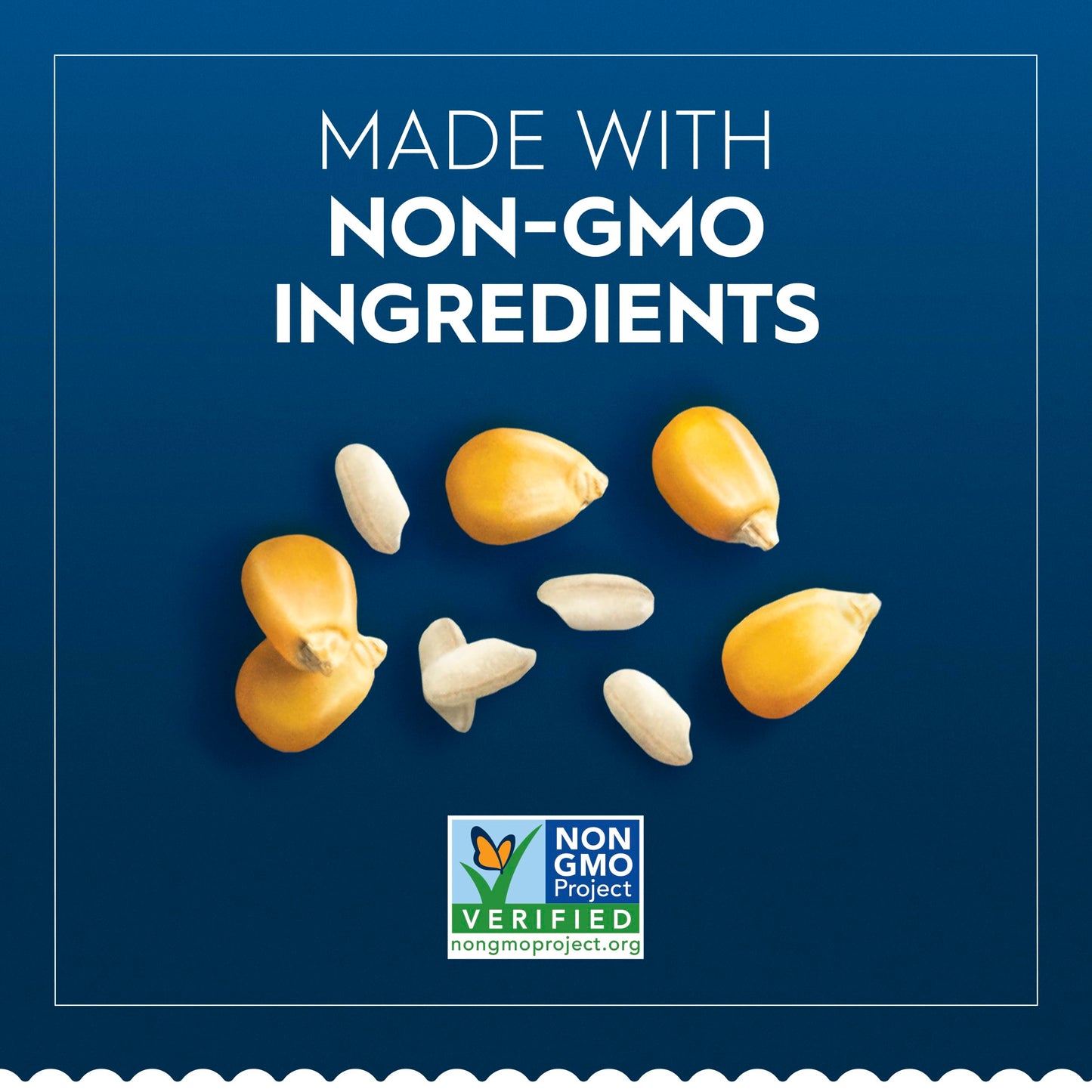 Barilla Gluten Free Penne Pasta  12 Ounce - Non-GMO Gluten Free Pasta Made with Blend of Corn & Rice - Vegan