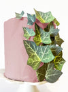 Sugar Robot - Edible Ivy Leaves Assorted Size - Edible leaves for cake decorating - Premium Crafted - Made in the USA Cake -Set 
