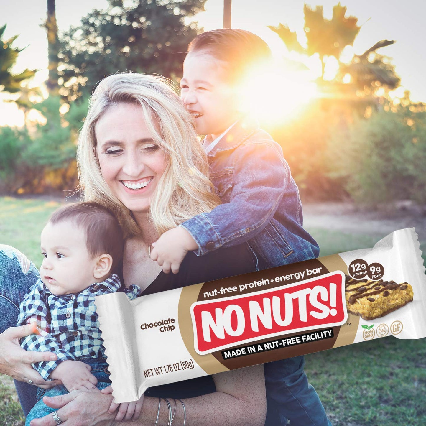 No Nuts! 100% Nut Free Dairy Free Vegan Protein Bars, Chocolate Chip, Organic, Kosher, Egg-Free, Non-Gmo & Dairy-Free Protein Ba