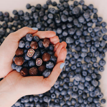 Tru Fru Natures Blueberries Hyper-Chilled in White & Dark Chocolate  8 Ounce Bag