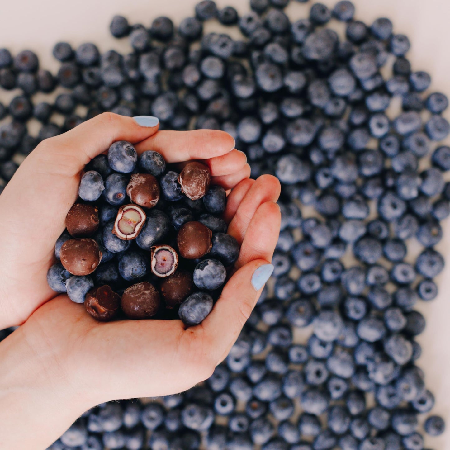 Tru Fru Natures Blueberries Hyper-Chilled in White & Dark Chocolate  8 Ounce Bag