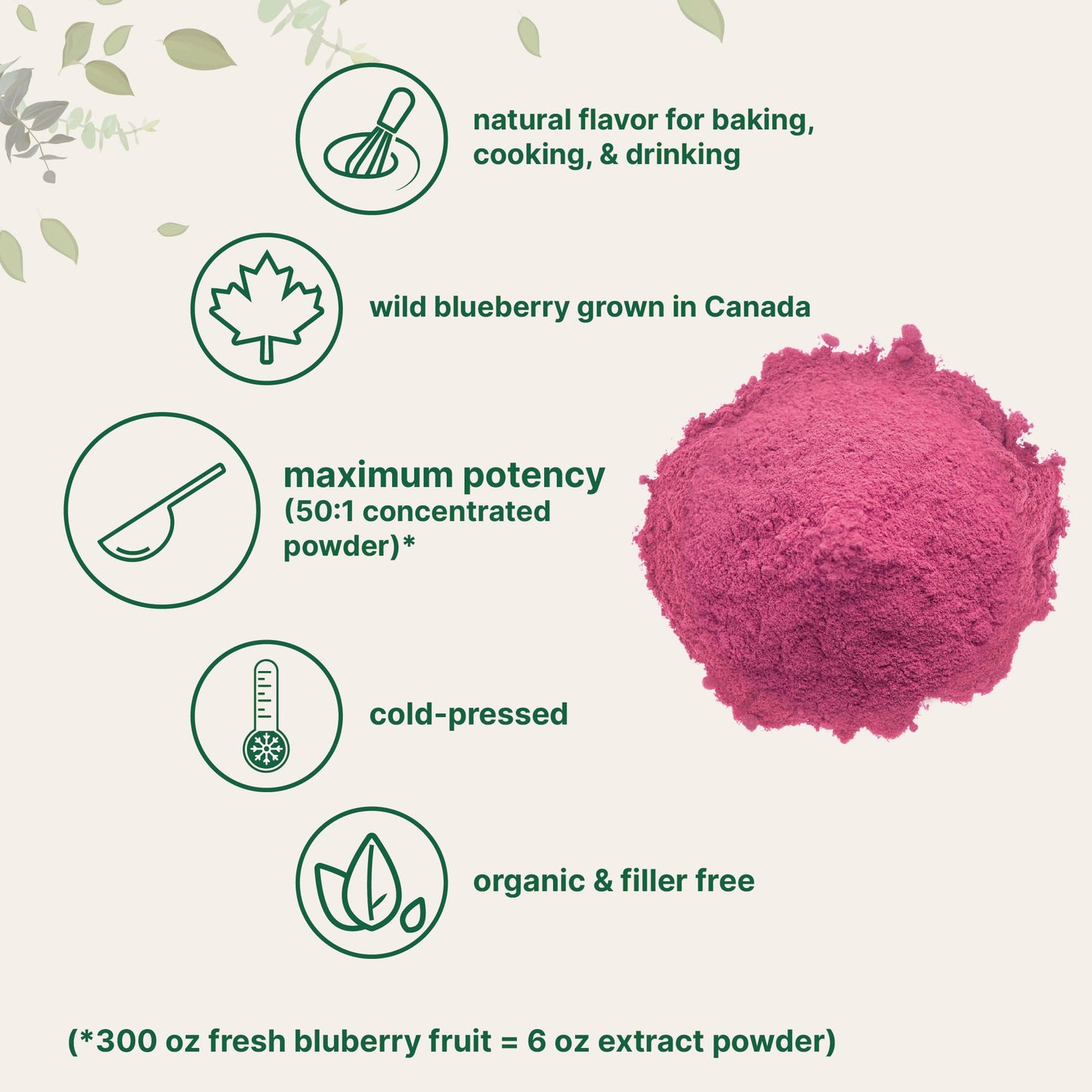 Organic Blueberry Extract Powder, 10oz | 100% Natural Fruit Powder | Freeze-Dried Wild Blueberries Source | No Sugar & Additives