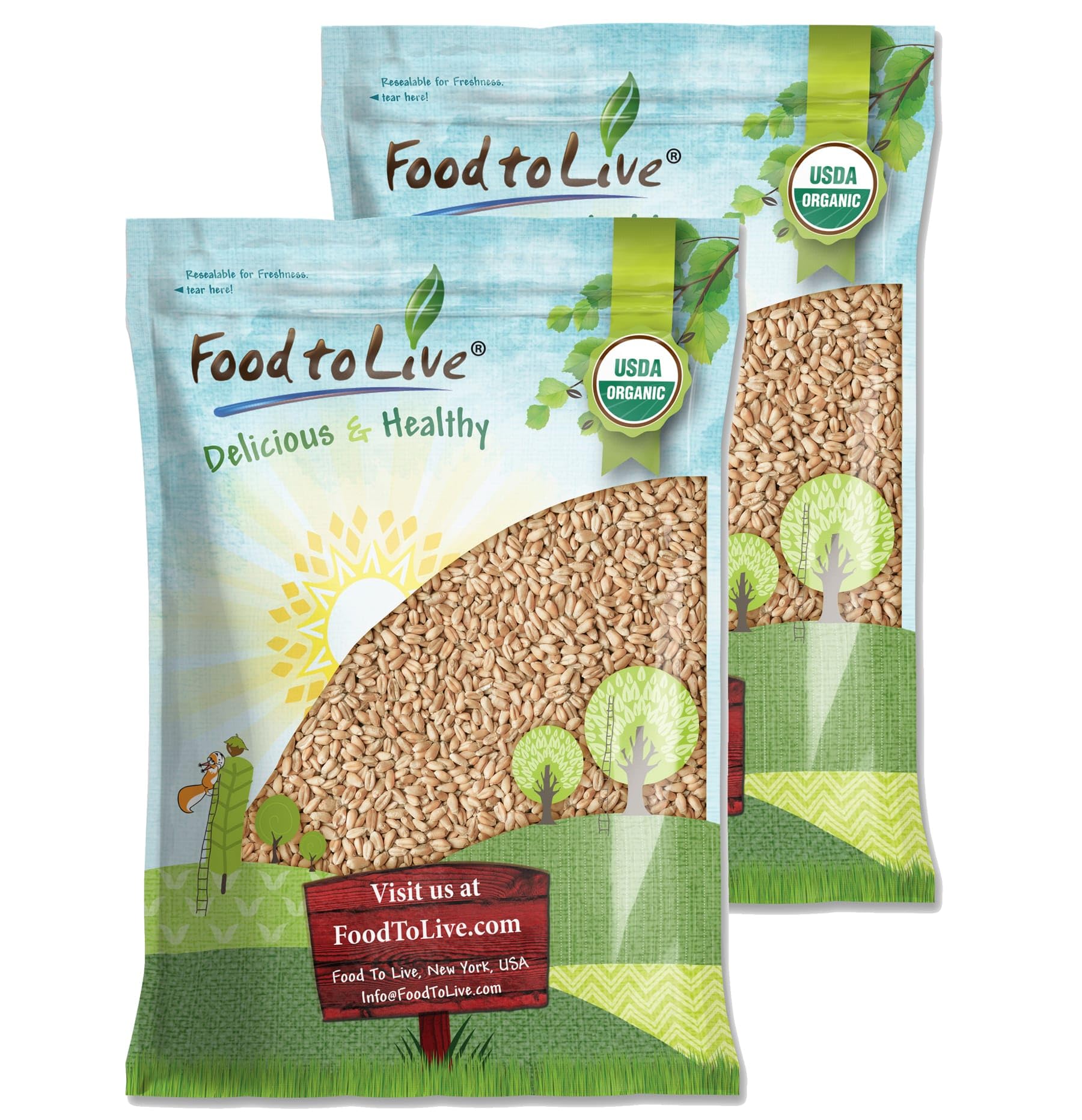 Food to Live Organic Soft White Wheat Berries, 20 Pounds - Premium Non-GMO Whole Grain Wheat for Milling, Sprouting, Cooking and