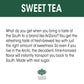 Arizona Sweet Tea - 16.9 Fl Oz, Pack of 20 Bottles