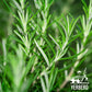 YERBERO Premium Loose Whole Rosemary Dried Leaves Tea, 2oz, Non-GMO, Gluten-Free, Resealable Bag, Makes 30+ Cups