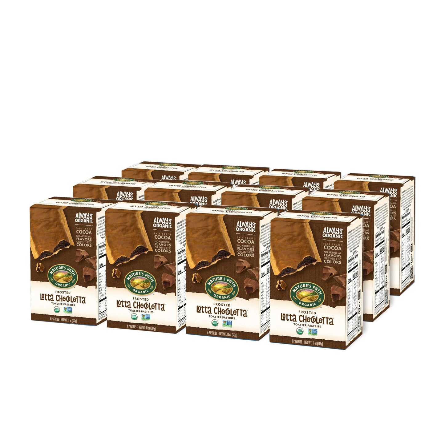Nature'S Path Organic Frosted Lotta Chocolotta Toaster Pastries, 11 Oz (Pack Of 12), Non-Gmo