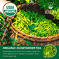 WT WEETEE Organic Gunpowder Green Tea, USDA Organic Loose Leaf Green Pearls Tea 8 Ounce, Full-Bodied & Gently Rolled Chinese Gre