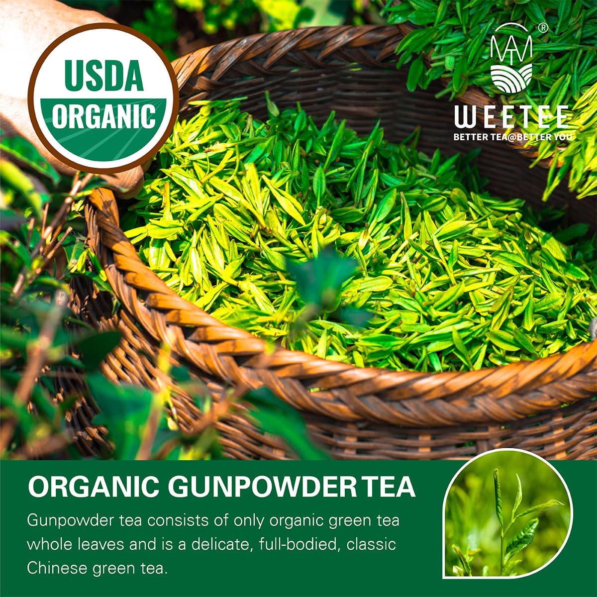 WT WEETEE Organic Gunpowder Green Tea, USDA Organic Loose Leaf Green Pearls Tea 8 Ounce, Full-Bodied & Gently Rolled Chinese Gre