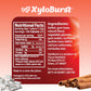 Xyloburst Gum | Xylitol Chewing Gum | Sugar Free, Gluten Free, Keto Friendly | Aspartame Free Gum For Oral Health | Cinnamon | 1