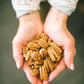 USDA Certified Organic Pecan Butter, Handmade, Small batches, Keto Friendly, Gluten Free, All Natural, made of Organic Pecans, a