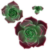 Global Sugar Art Succulent Taurus Sugar Cake Flowers Assortment With Wire, 3 Count By Chef Alan Tetreault