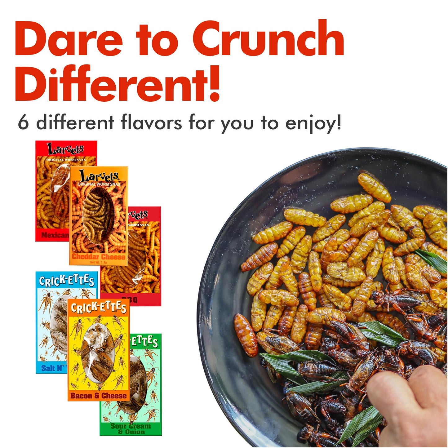 Jerky-n-Spice Edible Bugs 6-Pack, Flavored Larvae Snacks, Mixed Multi-Pack