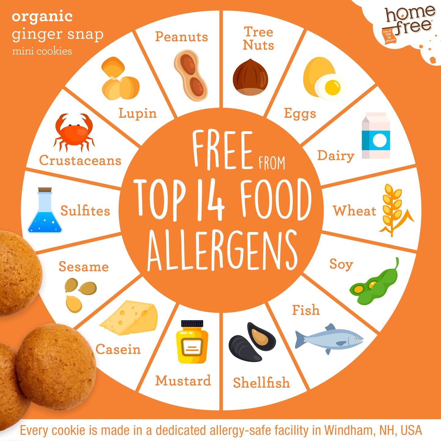 Homefree Mini Ginger Snap Cookies, Organic, Gluten Free, Nut Free, Vegan, Individually Wrapped Packs, School Safe and Allergy Fr
