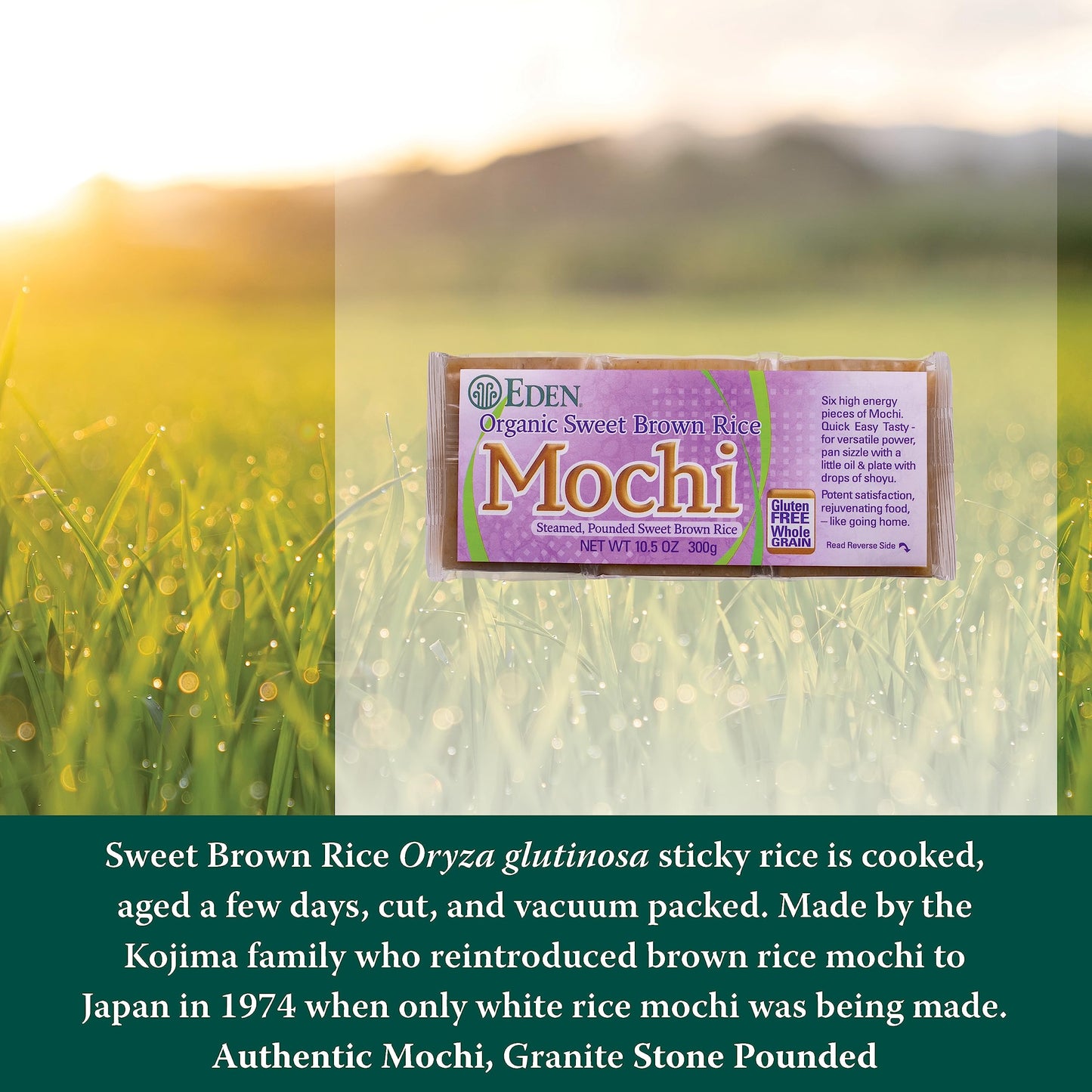 Eden Organic Sweet Brown Rice Mochi, Traditionally Made In Japan, Whole Grain, Macrobiotic, 10.5 Oz