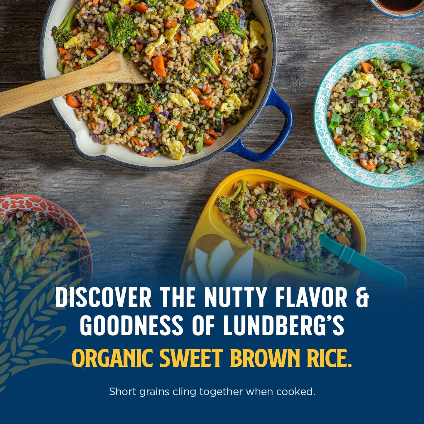 Lundberg Organic Sweet Brown Rice - Short Grain Rice, Slightly Sweet, Nutty & Sticky Rice, Healthy Food, Vegan, Pantry Staples,