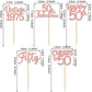 30Pcs Vintage 1973 Cupcake Toppers Glitter Fifty 50 Fabulous Happy 50Th Birthday Cupcake Picks Cheers To 50 Years For 50Th Birth