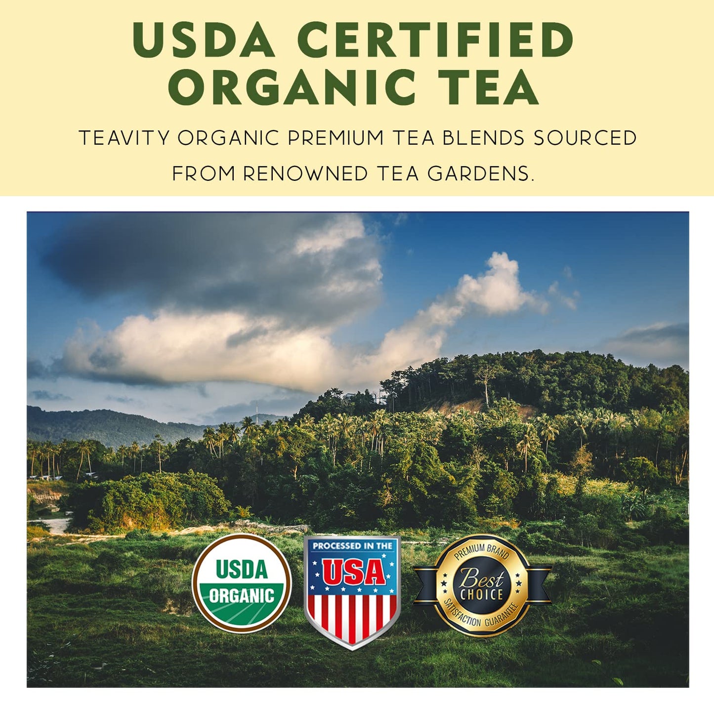 Coconut Rooibos Chai Tea Pods For Keurig - Organic Ginger Tea, Rooibos, Cinnamon, Cardamom, Coconut & Chai By Teavity (12 Tea Po