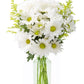DELIVERY by Fri  02/09 Guaranteed IF Order Placed by 02/08 Before 2PM EST.KaBloom Valentines Bountiful Beauty Bouquet of Fresh White Daisies with Vase