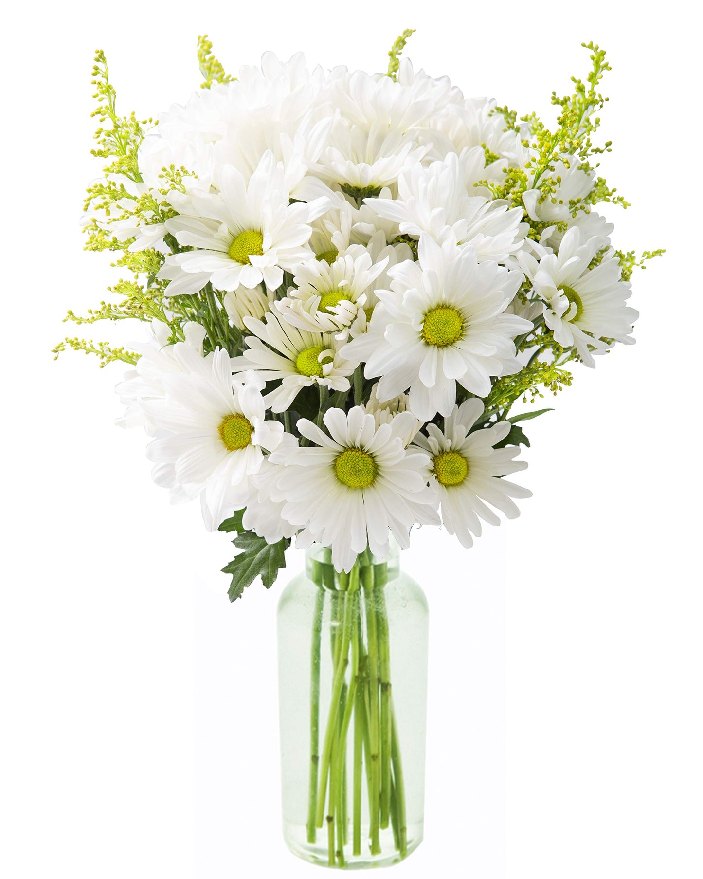 DELIVERY by Fri  02/09 Guaranteed IF Order Placed by 02/08 Before 2PM EST.KaBloom Valentines Bountiful Beauty Bouquet of Fresh White Daisies with Vase