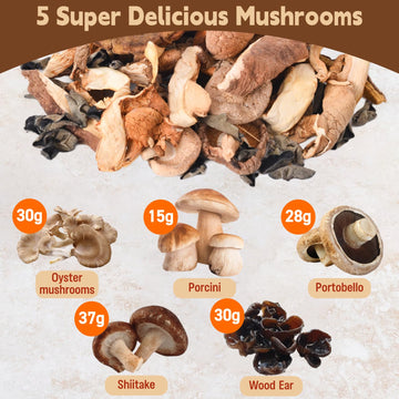 5 Kinds Dried Mixed Wild Mushrooms For Cooking, 5Oz(140G) Dehydrated Mushrooms Including Porcini Shiitake Oyster Portobello Fung