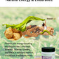 Mentalfuel Adaptogen Kombucha Instant Powder - 40 Servings Sparkling Fermented Kombucha Drink With Adaptogen Blends, Energy, Foc