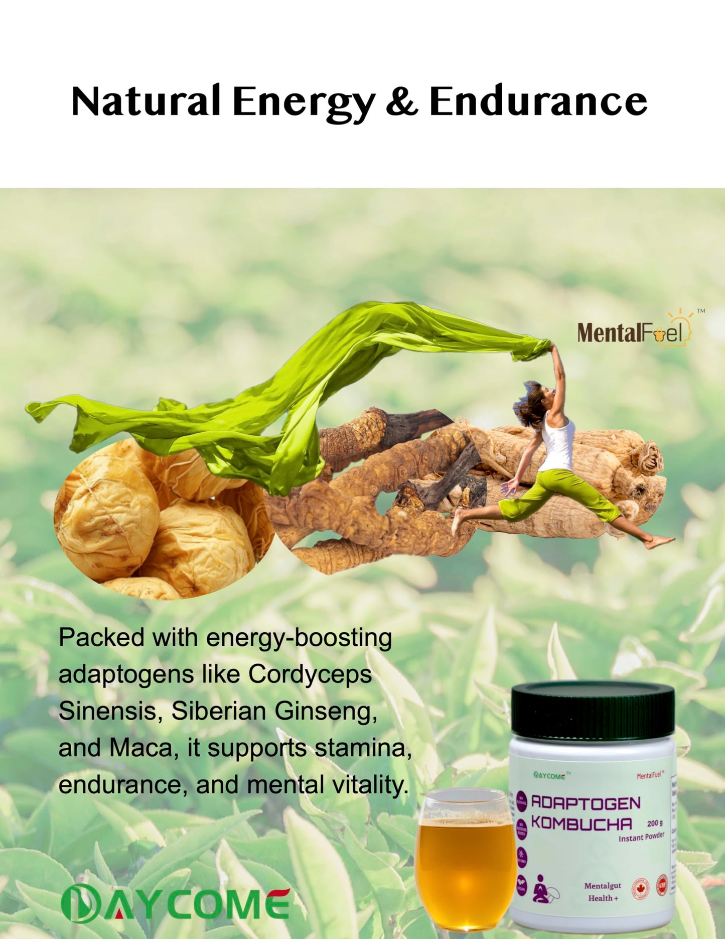 Mentalfuel Adaptogen Kombucha Instant Powder - 40 Servings Sparkling Fermented Kombucha Drink With Adaptogen Blends, Energy, Foc