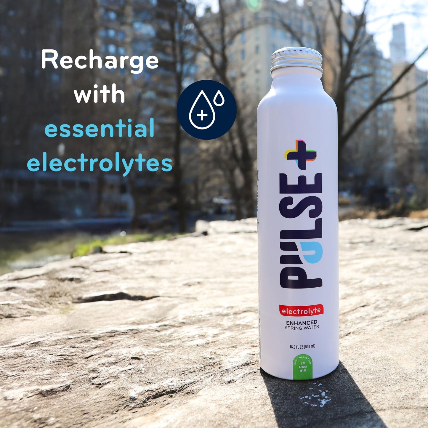 Pulse+ Electrolyte Water - Naturally Filtered Spring Water, 16.9 oz Aluminum Bottles, BPA-Free, Case of 12