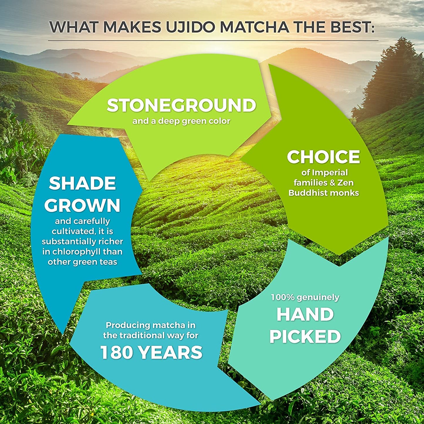 Ujido The Path of Zen Japanese Matcha Green Tea Powder Ceremonial Blend (2 oz)