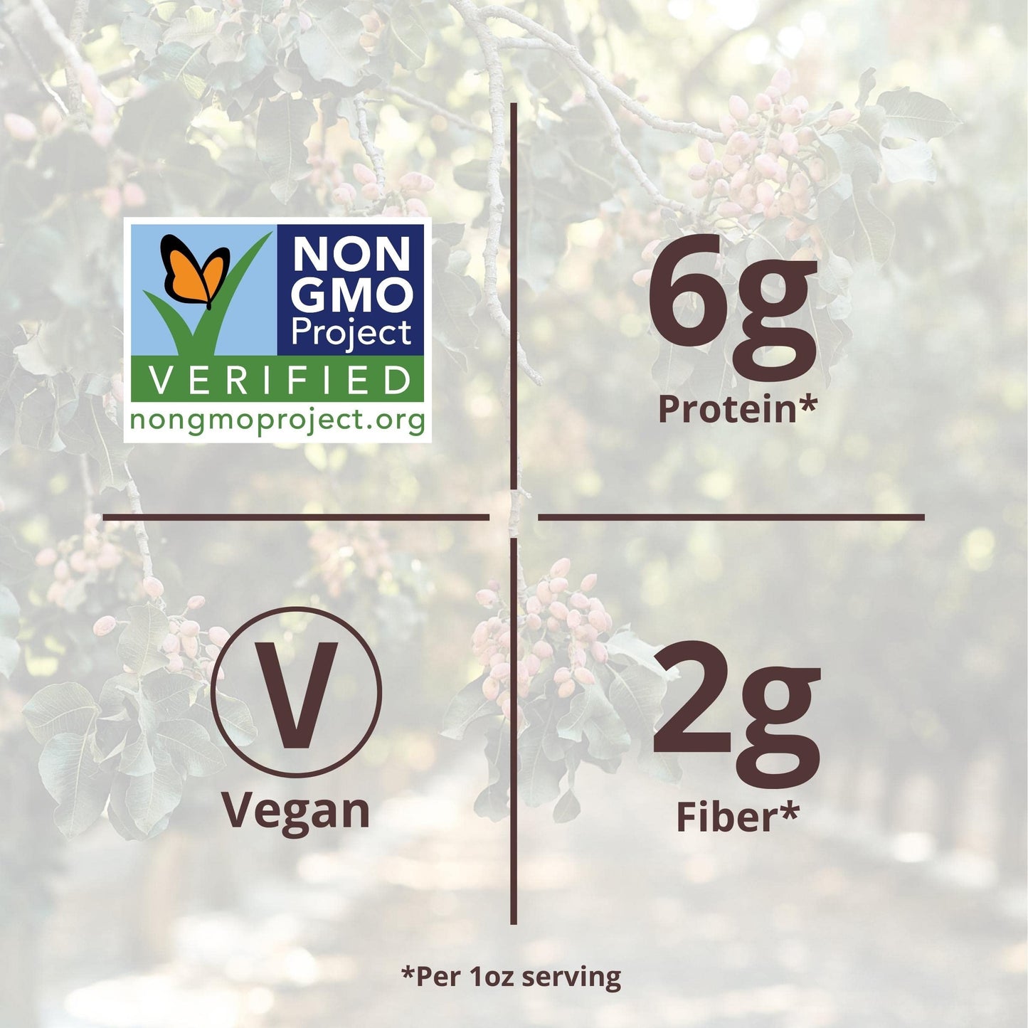 Nichols Farms Pistachios - Fresh Roasted No Shell Pistachio - Nutrient Rich Nuts Snack Packs - Non-GMO, California Grown - Healt