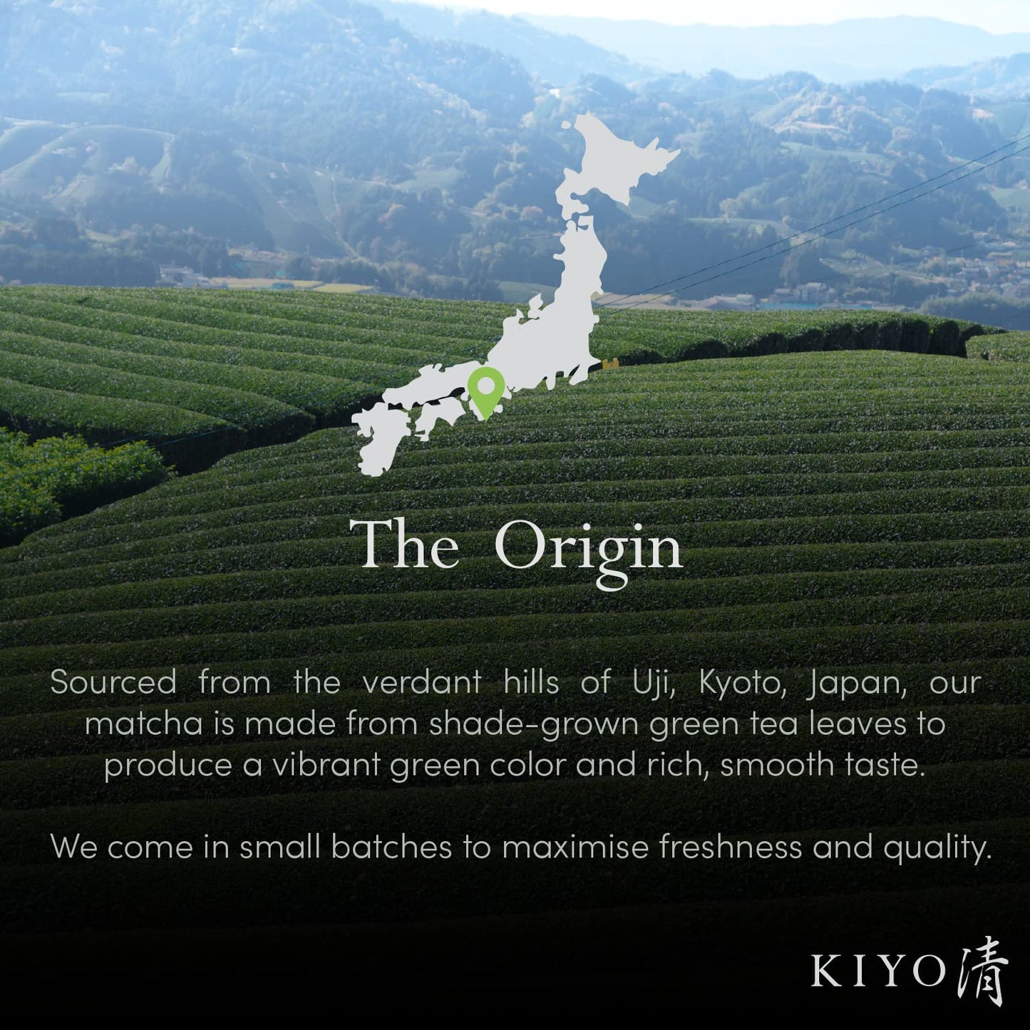 Kiyo Matcha Signature Grade Shuga Ceremonial Uji Matcha - Pure Japanese First Harvest Ceremonial Grade Matcha Green Tea Powder from Uji  Japan (40g/1.4oz)