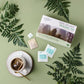 Prince Of Peace Organic Oolong Tea 100 Tea Bags (Pack Of 6)