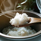 Golden Star Jasmine Rice, 10 Lb