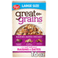Great Grains Raisins Dates and Pecans Breakfast Cereal, Non-GMO, 16 OZ Box