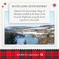 Walkers Gingerbread Mince Pies - 4 Count (8.6 oz)- Holiday Treats and Desserts from Scotland