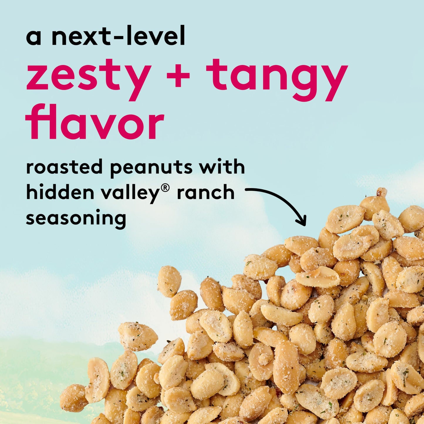 Snak Club Peanuts with Hidden Valley Ranch Seasoning, Gluten-Free, 4.5 oz Resealable Bags, 6 Pack