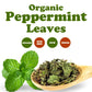 Food to Live Organic Peppermint Leaves, 3 Pounds, Dried & Sifted, Non-GMO, Caffeine-free, Kosher