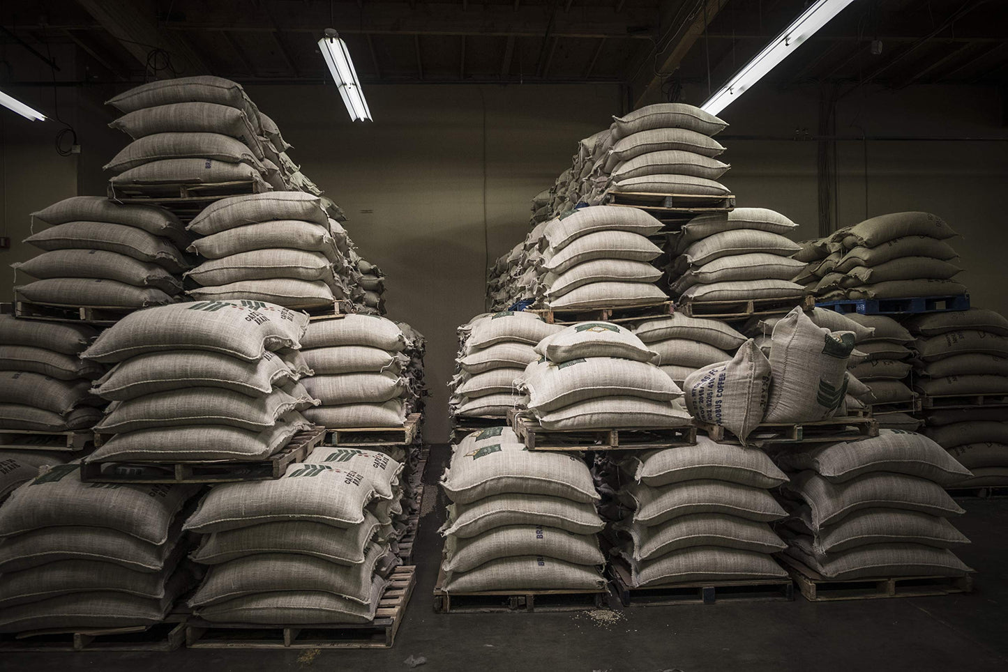 Caffe D'Arte Velletri Wood Roast Reserve Whole Bean Coffee, 5 Pounds