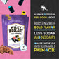 Wiley Wallaby 8 Ounce Allsorts Gourmet Australian Style Soft & Chewy Assorted Licorice Candy (2 Pack)