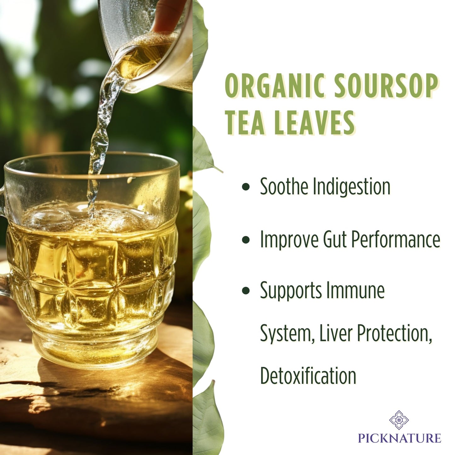 PICKNATURE Organic Dried Soursop Leaves | Antioxidant Herbal Tea  Caffeine-Free | Supports Digestion  Immunity & Detox | 1.76oz (100+ Cups)