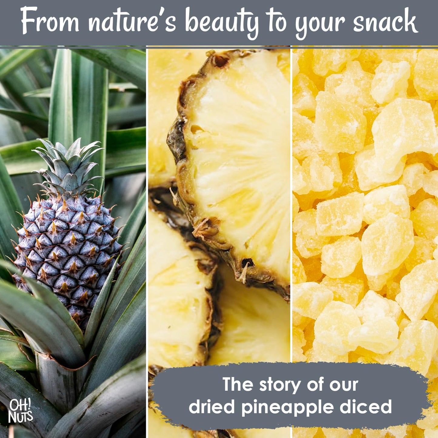 Oh! Nuts Dried Pineapple - 1.5 LB - Dried Fruit Diced - Less Sugar Added - Dehydrated Fruit Bites - Packed in New York Zip-Seal