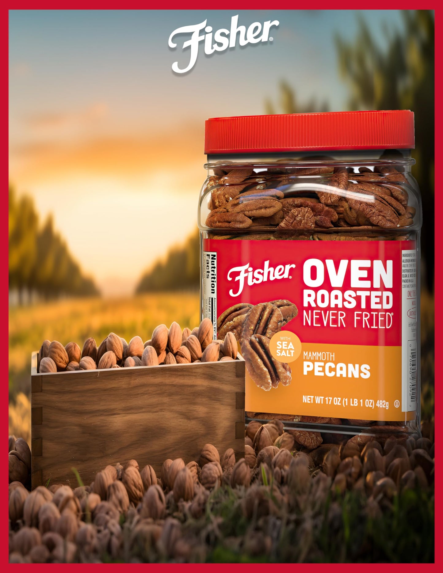 Fisher M th Pecans, Roasted & Salted, Gluten Free, Vegan, 17 Ounces