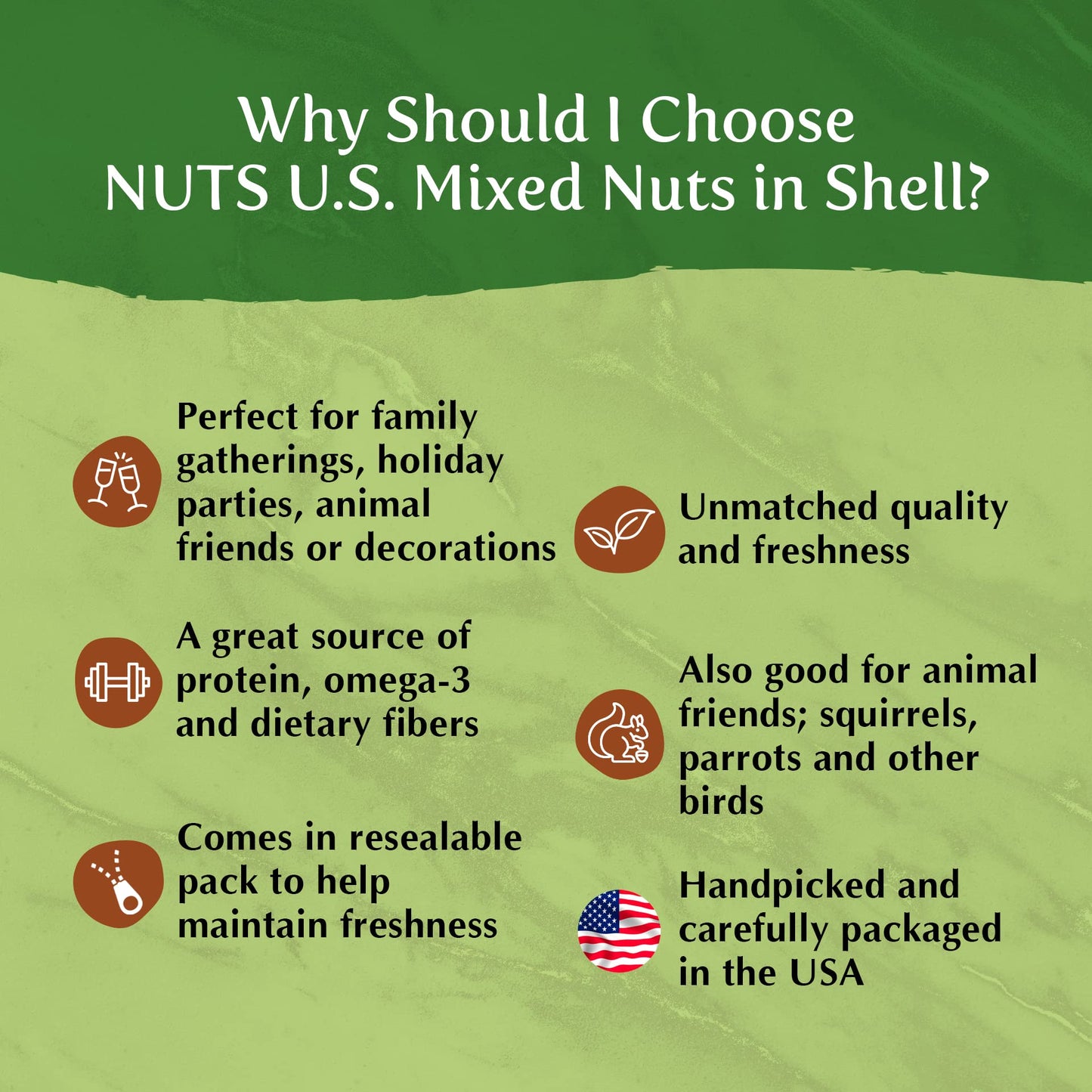 NUTS U.S. - Mixed Nuts In Shell (Almonds  Walnuts  Hazelnuts  Pecans  Brazil Nuts) | No Added Colors and No Artificial Flavors | Fresh Buttery Taste and Raw |Packed In Resealable Bags!!! (6 LBS)