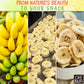Dried Banana Chips by Oh! Nuts | 3 lb Dehydrated Fruit Slices | Light Sugar Added | Freshness-Sealed Bag