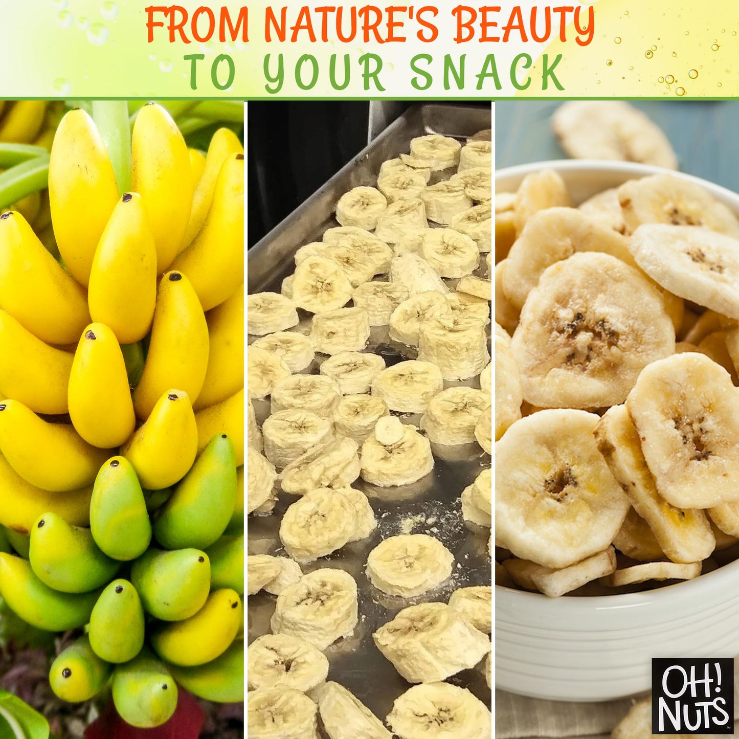Dried Banana Chips by Oh! Nuts | 3 lb Dehydrated Fruit Slices | Light Sugar Added | Freshness-Sealed Bag