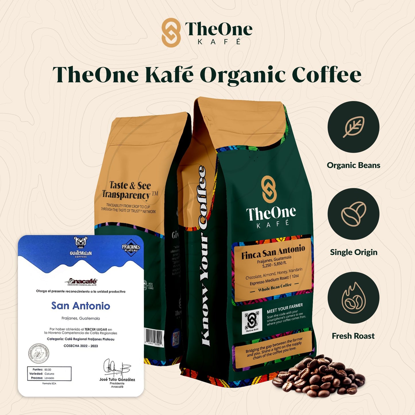 TheOne Kafé Guatemala Medium Roast Whole Bean Coffee – Organic, Smooth & Rich Flavor – 12 oz